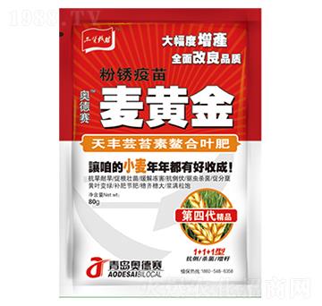 天豐蕓苔素螯合葉肥-麥黃金-紅萬(wàn)甲