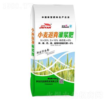 小麥返青灌漿肥-農宜嘉肥業(yè)