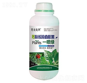拉長(zhǎng)拉直膨果一噴綠-蒼遠(yuǎn)生物