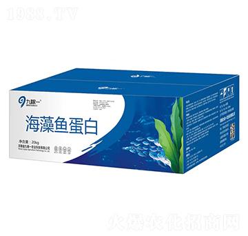 海藻魚(yú)蛋白-九稼一