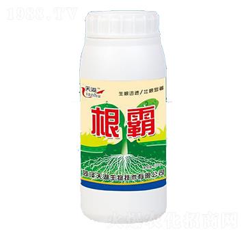 根霸-天湖