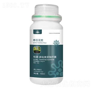 青苔無憂-濃沺沺-天度生物
