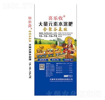 含聚谷氨酸大量元素水溶肥料19-19-19+TE-祥豐