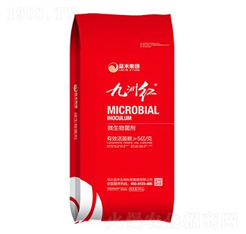 5億菌微生物菌劑-九洲紅-藍禾生物