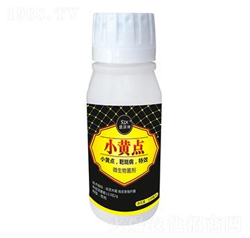 小黃點(diǎn) 盛澤坤