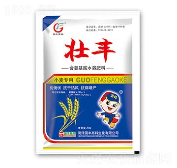 小麥專用含氨基酸水溶肥料-壯豐-國(guó)豐高科