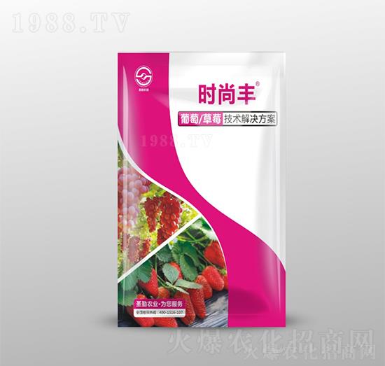 葡萄草莓技術(shù)解決方案-時尚豐-圣勤農(nóng)業(yè)