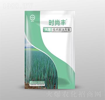 大蔥技術(shù)解決方案-時尚豐-圣勤農(nóng)業(yè)