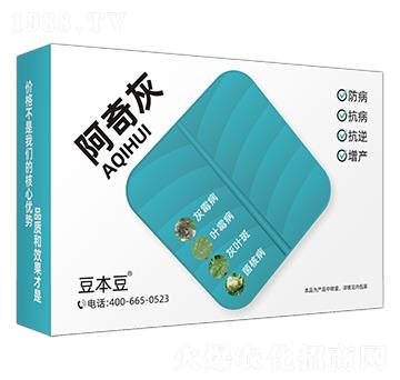 阿奇灰-豆本豆
