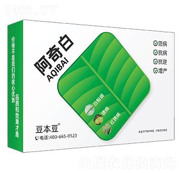 阿奇白-豆本豆