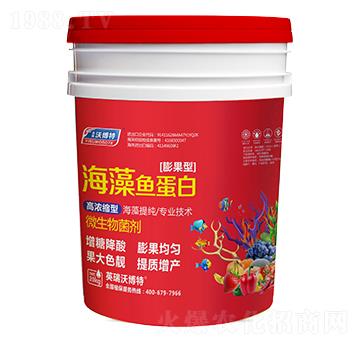 海藻魚(yú)蛋白（膨果型）-英瑞沃博特