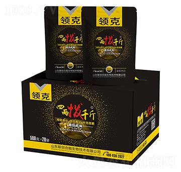 四兩撥千斤-領克-聯(lián)創(chuàng)合能
