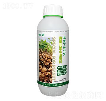 花生下針分叉-開吉-原力肥業(yè)
