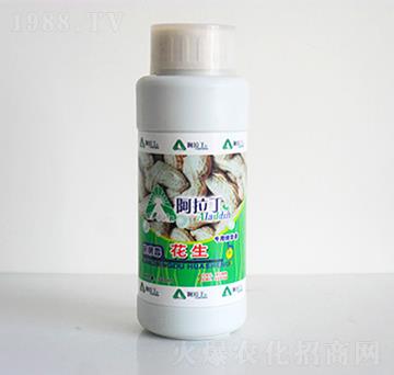 花生專用精華素-阿拉丁