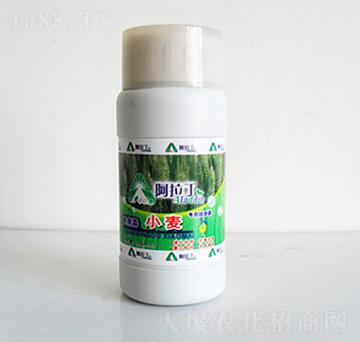 250ml小麥專(zhuān)用精華素-阿拉丁