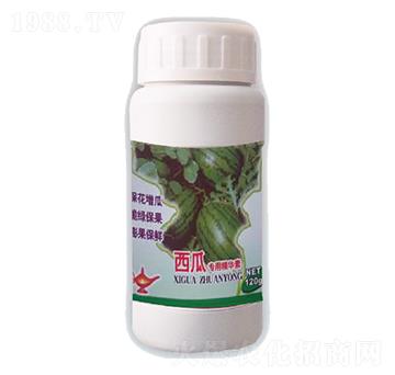 西瓜專用精華素-阿拉丁