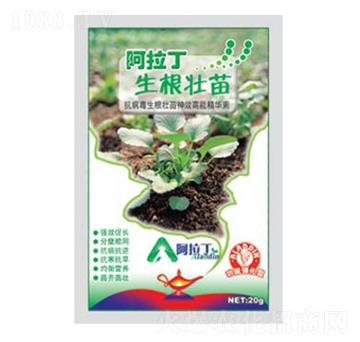 生根壯苗肥-阿拉丁