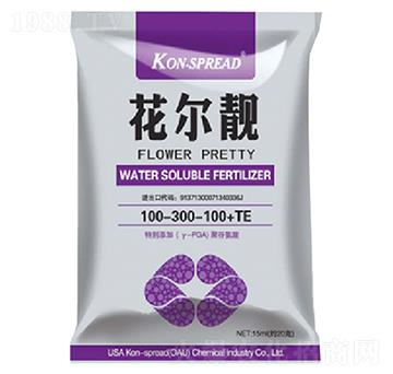 花爾靚100-300+100+TE-康施得