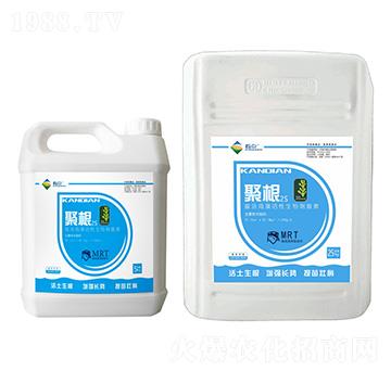 富含海藻活性生物刺激素-聚根2S-看點