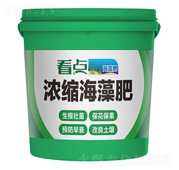 濃縮海藻肥-看點