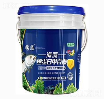 海藻魚(yú)蛋白甲殼素-錦騰農(nóng)業(yè)
