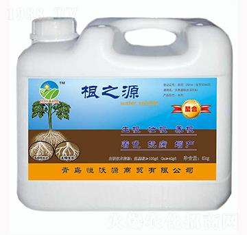 根之源-恒沃源