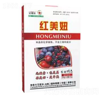 紅美妞-艾思樂(lè)