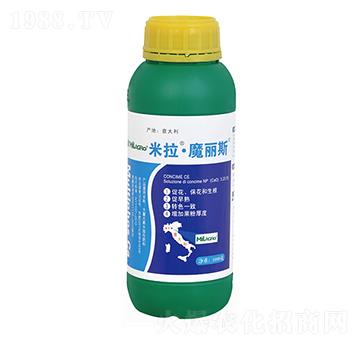 米拉魔麗斯-博遠(yuǎn)