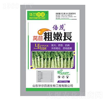 萵苣粗嫩長(zhǎng)-華爾百諾