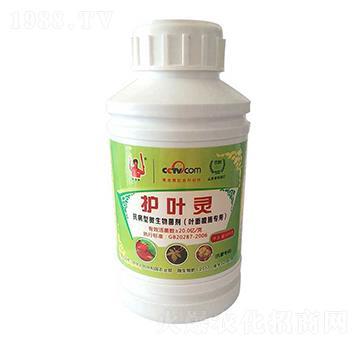 抗病型微生物菌劑-護(hù)葉靈-金滿(mǎn)田