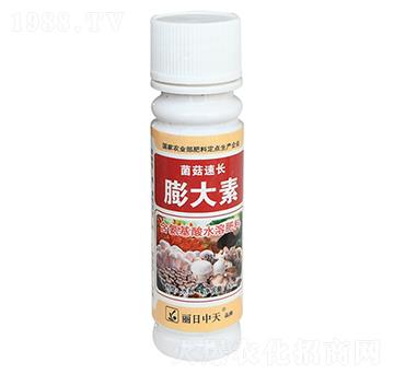 菌菇速長-膨大素-中天肥業(yè)