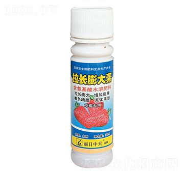草莓專用拉長膨大秦-中天肥業(yè)