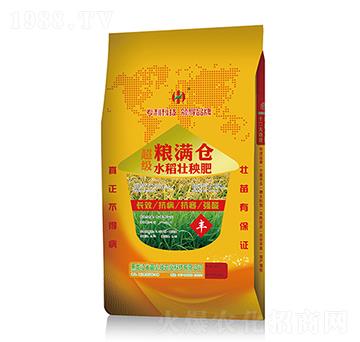 超級(jí)水稻壯秧肥-糧滿倉(cāng)-苗必壯