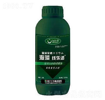 海藻線樂適-?？破? width=