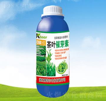 茶葉催芽素-康特爾農(nóng)化
