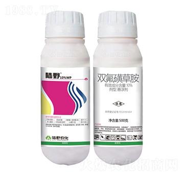10%pǲݰҸ-Ұr