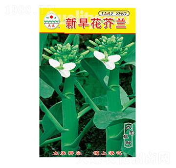 芥蘭種子-新早花芥蘭-太樂(lè)種業(yè)