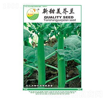 芥蘭種子-新甜美芥蘭-太樂(lè)種業(yè)