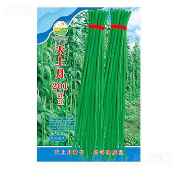 豇豆種子-天上月201-太樂(lè)種業(yè)