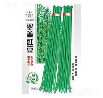 豇豆種子-翠美豇豆-太樂(lè)種業(yè)