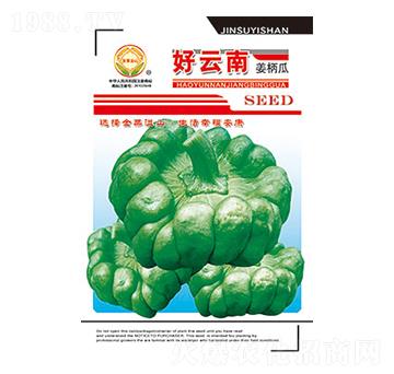 姜柄瓜種子-好云南-太樂種業(yè)