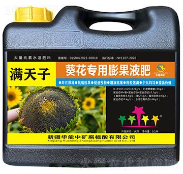 滿天子-葵花專用膨果液肥-華能中礦