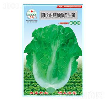 生菜種子-四季耐熱耐抽苔生菜-太樂(lè)種業(yè)