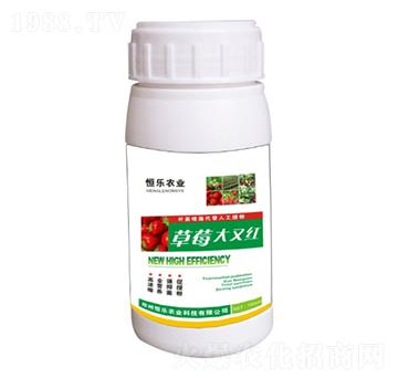 草莓大又紅-恒樂農(nóng)業(yè)