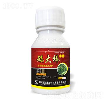 東北玉米矮化專用產(chǎn)品-玉米矮大棒-恒樂農(nóng)業(yè)