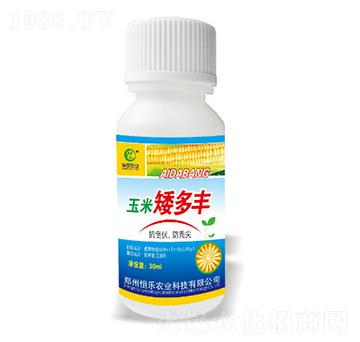 玉米矮多豐-恒樂農(nóng)業(yè)