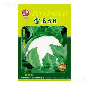 花菜種子-雪玉58-邯豐農(nóng)業(yè)