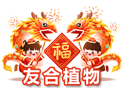 【鄭州友合植物】祝全國(guó)人民在新的一年里年年有余、歲歲平安！